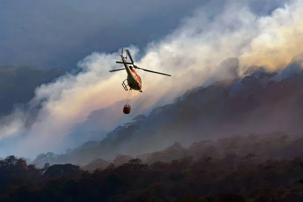 Tfaiye Helikopteri Orman Yangınını Söndürmek Için Kovası Taşıyor — Stok fotoğraf