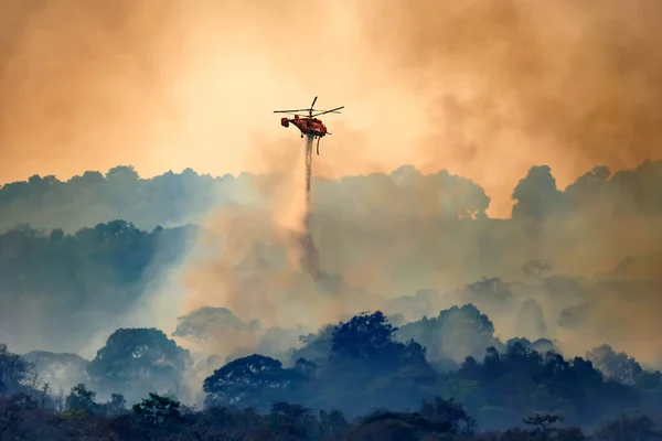 Hélicoptère Incendiaire Larguant Eau Sur Feu Forêt — Photo
