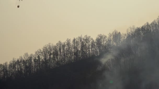 Požární Vrtulník Kapání Vody Lesní Požár — Stock video