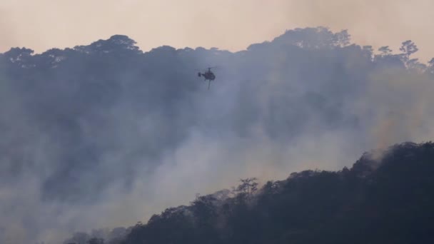 Πυροσβεστικό Ελικόπτερο Ρίχνει Νερό Στη Φωτιά Του Δάσους — Αρχείο Βίντεο