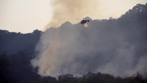 Śmigłowiec Gaśniczy Zrzucający Wodę Pożar Lasu — Wideo stockowe