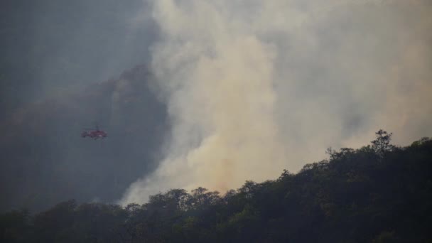 Löschhubschrauber Wirft Wasser Auf Waldbrand — Stockvideo