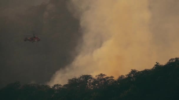 Hélicoptère Lutte Contre Les Incendies Larguant Eau Sur Feu Forêt — Video