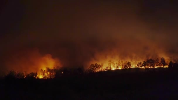 Desastre Los Incendios Forestales Causado Por Ser Humano — Vídeo de stock