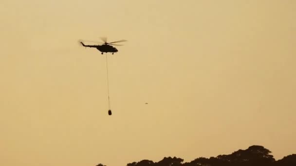 Tűzoltó Helikopter Csepegtető Víz Erdőtűz — Stock videók