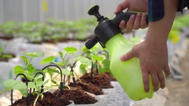 Akıllı çiftlik, çiftçi seradaki büyüme hormonu tarımını doldurdu