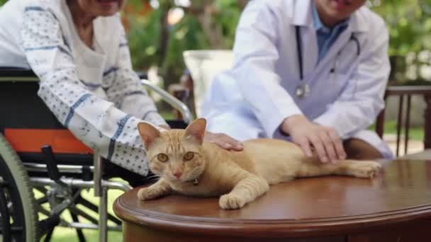 Terapia Animali Anziani Gli Animali Domestici Rendono Pazienti Più Sani — Video Stock