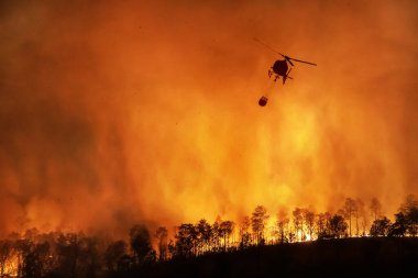 İtfaiye helikopteri orman yangınını söndürmek için su kovası taşıyor.