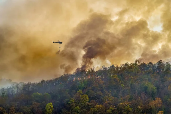 Yangın Söndürme Helikopteri Orman Yangınına Bırakıyor — Stok fotoğraf