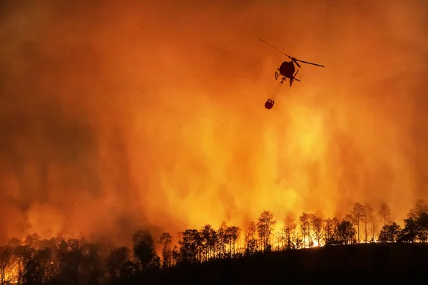 Tűzoltó Helikopter Szállít Víz Vödör Eloltani Erdőtüzet — Stock Fotó