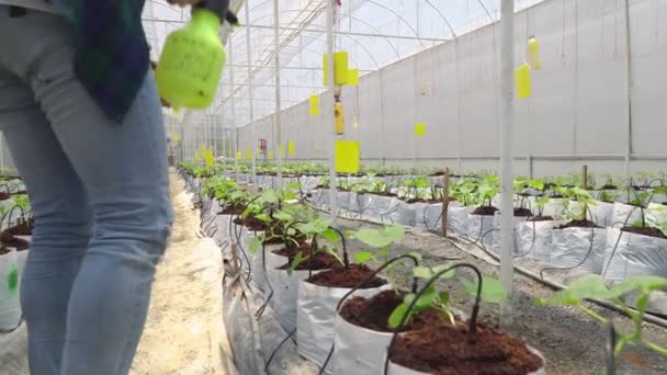 Fazenda Inteligente Agricultor Preencher Hormônio Crescimento Agrícola Estufa — Vídeo de Stock