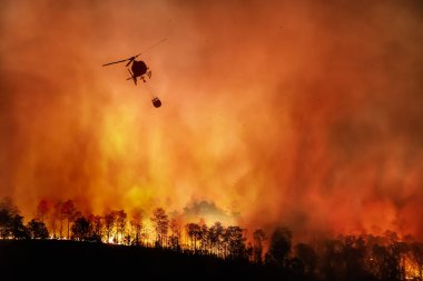 İtfaiye helikopteri orman yangınını söndürmek için su kovası taşıyor.
