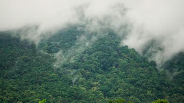 Regenwolken Bedecken Den Tropischen Waldberg Während Der Regenzeit Chiang Mai — Stockvideo