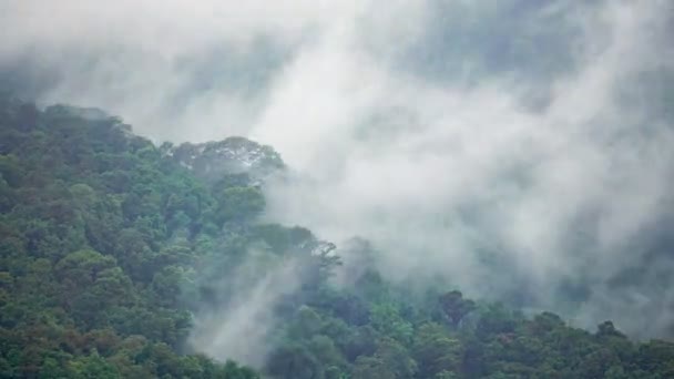 Regenwolken Bedecken Den Tropischen Waldberg Während Der Regenzeit Chiang Mai — Stockvideo