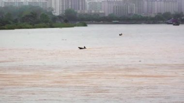Tayland ve Laos arasında Chiang Saen, Chiang Rai, Tayland 'daki Mekong Nehri' nde uzun kuyruklu bir tekne var.