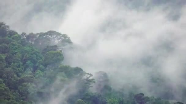 Regenwolken Bedecken Den Tropischen Waldberg Während Der Regenzeit Chiang Mai — Stockvideo