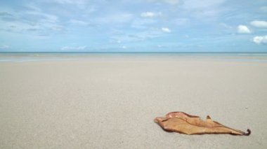 Chaweng Sahili 'nde beyaz kum, Koh Samui, Tayland. Covid 'in hiç turisti olmayınca denizi tamamen ekolojik olarak düzeltti.