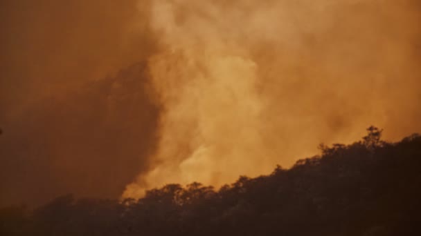 Пожежний Вертоліт Скидає Воду Лісовий Вогонь — стокове відео
