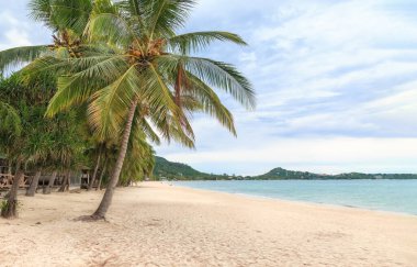 Lamai Sahili 'nde beyaz kum, Koh Samui, Tayland. Covid 'in hiç turisti olmayınca denizi tamamen ekolojik olarak düzeltti.