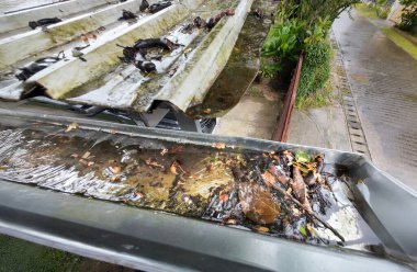 Tıkanmış yağmur oluğu, kirli çatı oluğu, ıslak yapraklarla.