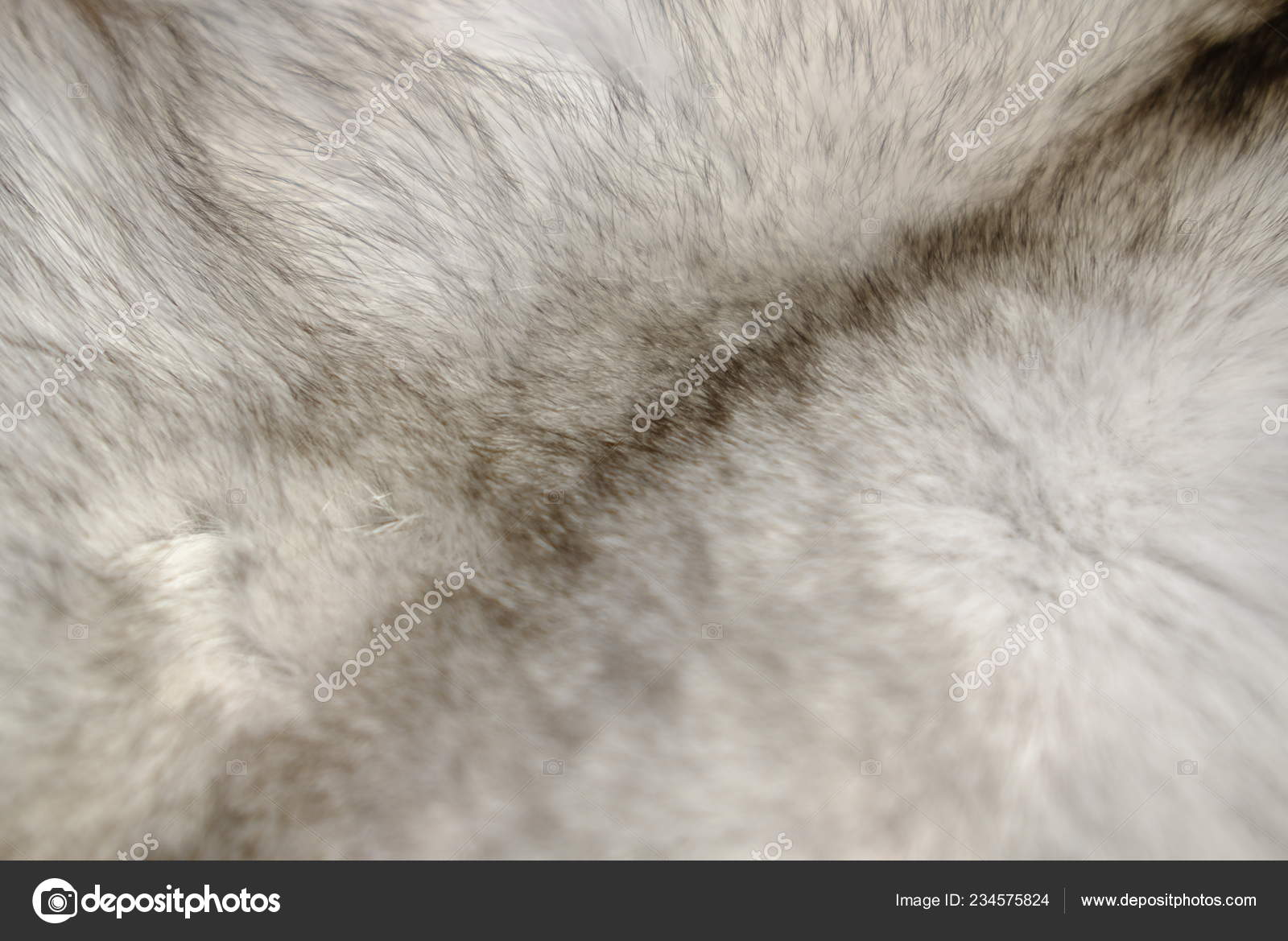 Women S Chinchilla Fur Coats Henig Furs Fur Jacket Sewing Pattern 5709
