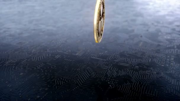 波纹 cryptocurrency 的硬币 — 图库视频影像