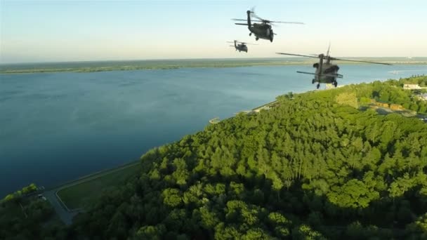 Blackhawk helikoptrar flyger in i horisonten — Stockvideo