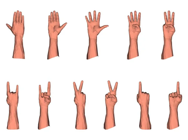 Numerieke gebaren van mannelijke lage poly hand — Stockvector