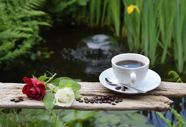 Rosas Granos Café Una Caldera Madera Jardín — Foto de Stock