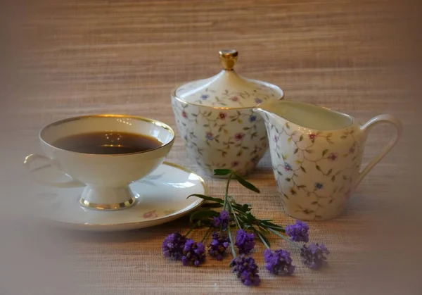 Kaffeegedeck Mit Lavendel Und Zuckerwuerfeln — Zdjęcie stockowe