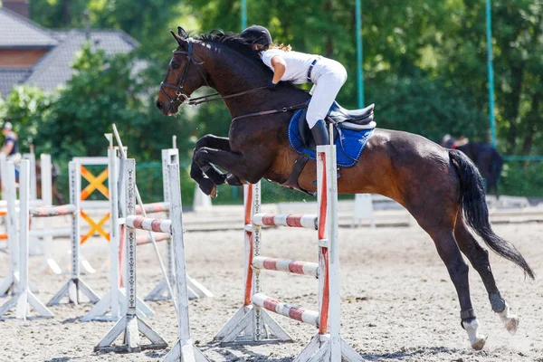 Caballo jinete mujer en espectáculo salto competencia — Foto de Stock