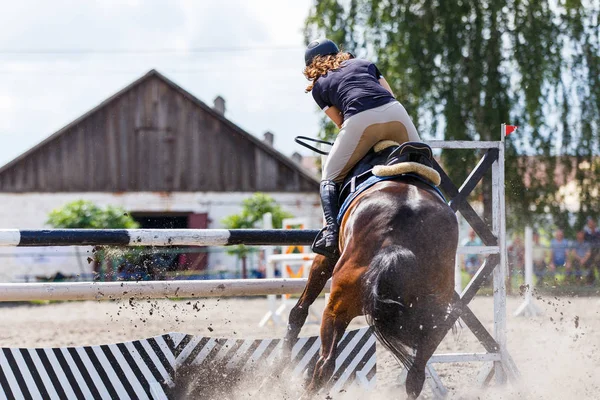 Désobéissance du cheval en concours de saut d'obstacles — Photo