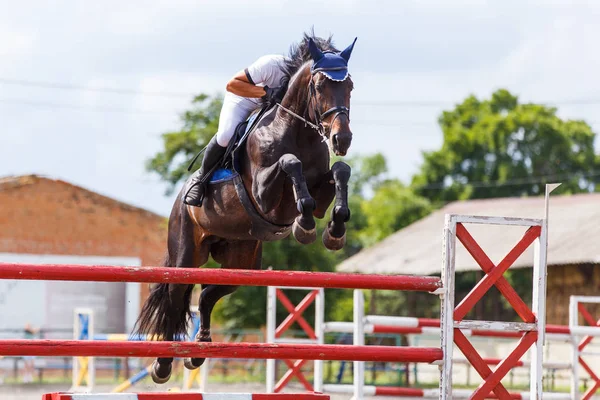 Joven jinete de caballo en concurso de salto espectáculo — Foto de Stock