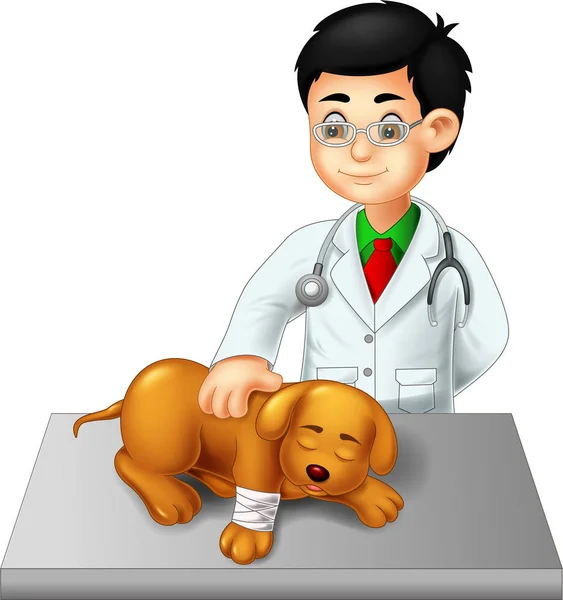 笑顔でハンサムな獣医漫画に立ってチェック犬 — ストックベクタ