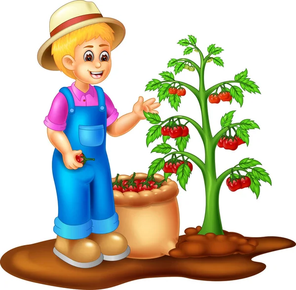 Divertido Chico Dibujos Animados Pie Recogiendo Tomates Con Sonrisa — Vector de stock