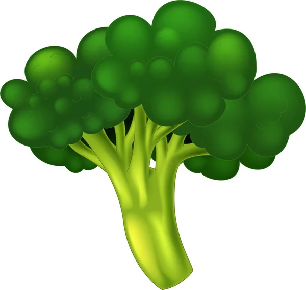 Illustrazione Verde Organica Del Vettore Del Fumetto Dei Broccoli Isolata — Vettoriale Stock