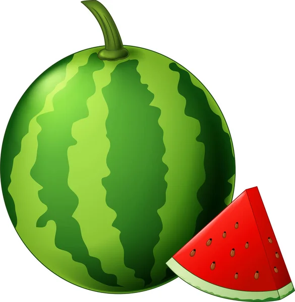 Frische Wassermelone Früchte Cartoon Vector Illustration Isoliert — Stockvektor