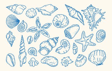 Çeşitli kabuk çizimleri. Çıkartma, el çekme, 10 pound.