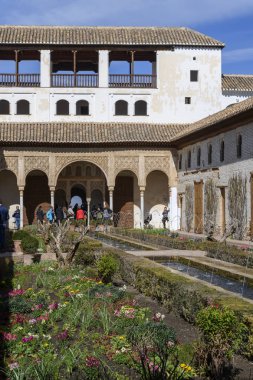 Alhambra Generalife Sarayı bahçesinde