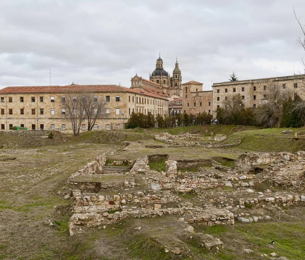 Salamanca alan Katedrali arkasında