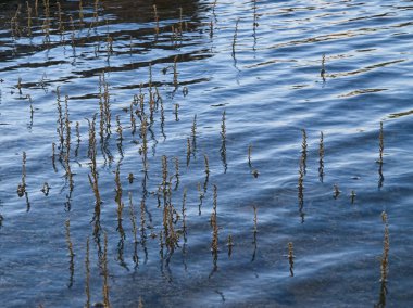 Puentes Viejas reservoir in Buitrago de Lozoya
