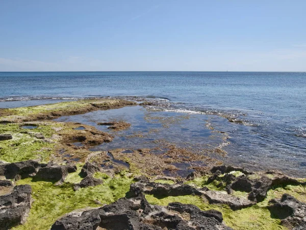 Muhteşem sahil yakınında Pilar de la Horadada görünümünü