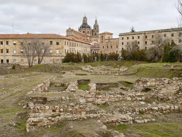 Staré oblasti Salamanca v zadní části katedrály — Stock fotografie