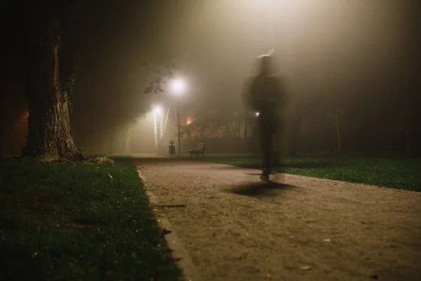 Emberek Mozgás Elmosódott Parkban Éjszaka Nehéz Köd — Stock Fotó