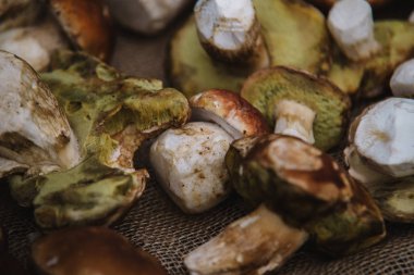 mantar sepeti karışımı