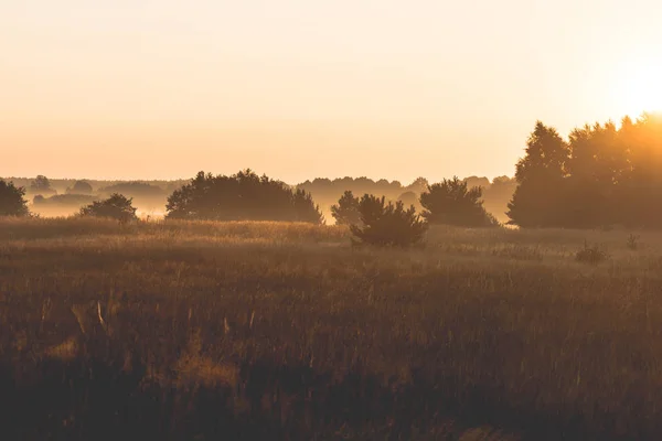 Morning Meadow Sunrise Landscape Photo Vintage Effect — Stock Photo, Image