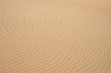 çöl kumları arka plan veya doku