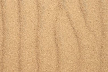 çöl kumları arka plan veya doku