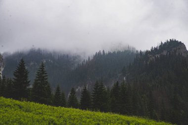 Glade ve dağlar Koscieliska Vadisi, Tatra Dağları, Zakopane