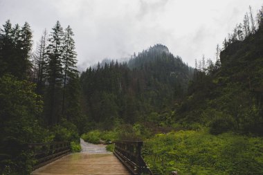 yolunu yağmurda Koscieliska Vadisi, Tatra Dağları, Polonya
